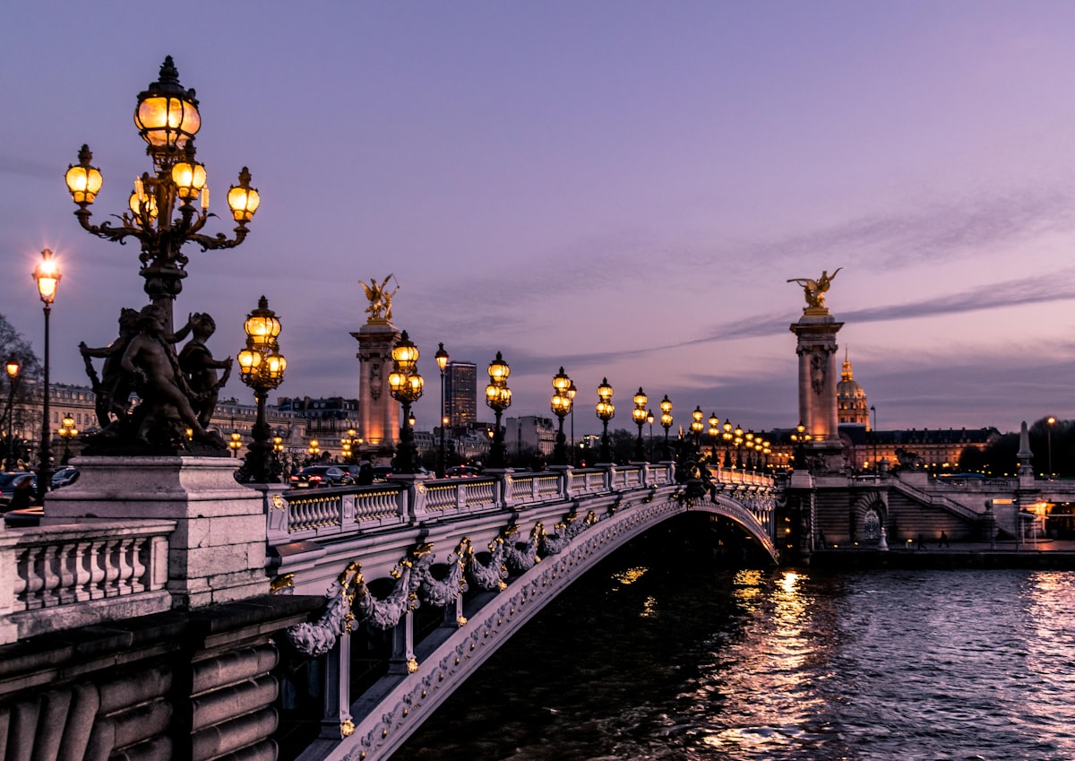 Panoramic view of Paris with the Eiffel Tower at sunset