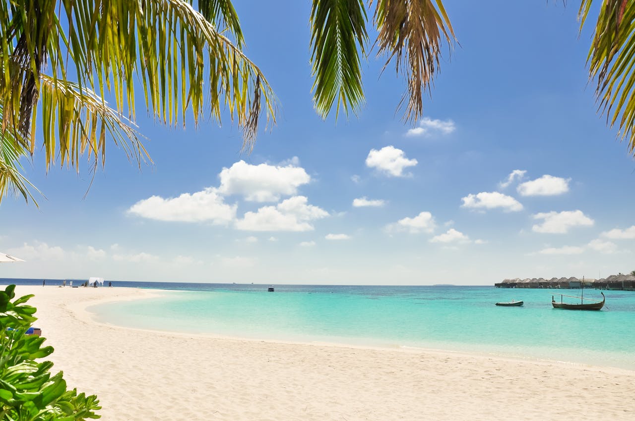 White sand beach with palm trees and turquoise Caribbean water